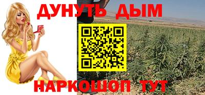 гидра Волгодонск
