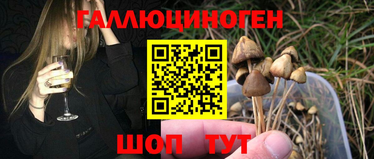 Грязи  купить  цена  Вход с VPN  Псилоцибиновые грибы мицелий 